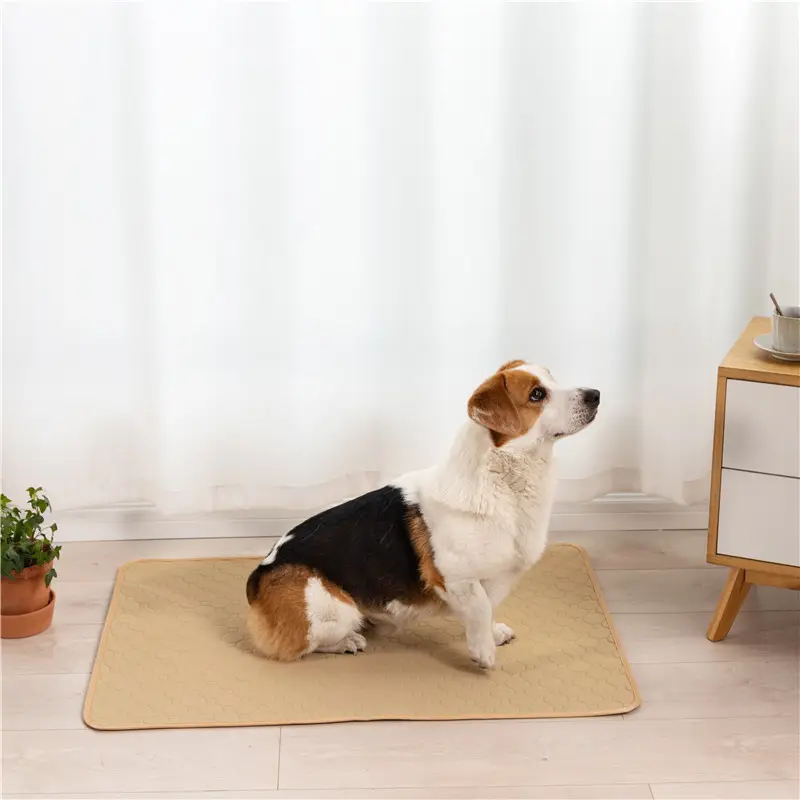 Tapis à langer imperméable et réutilisable, lavable, absorbant, pour chiot, chien, couche urinaire, pot pour chien