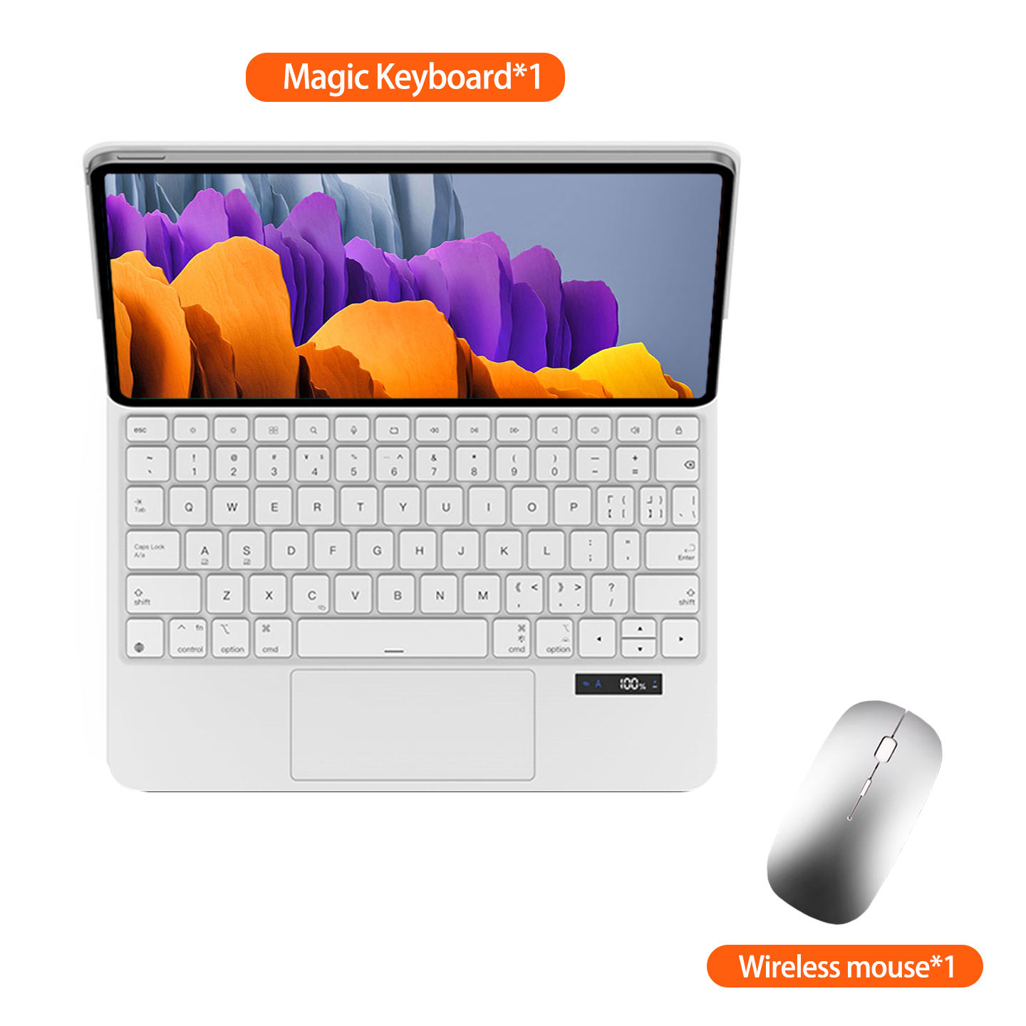 Pour Samsung Galaxy Tab S7+ 12,4" Blanc