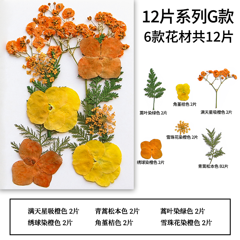 Style G 12 pcs/sac