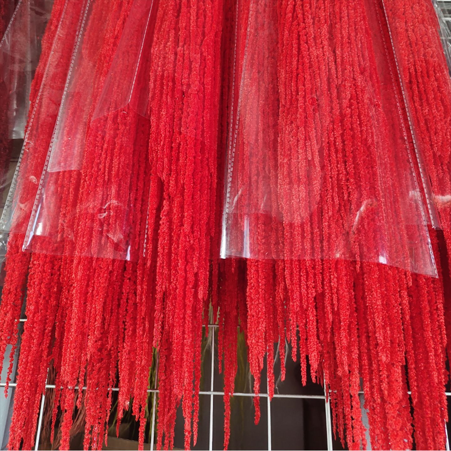 Rosso, taglia media.