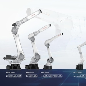 ROKAEコラボレーティブインダストリアルロボット6軸アームパレット化ロボット複合ロボット - Product Image 6