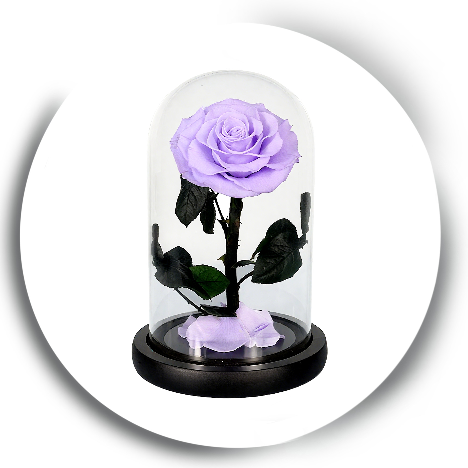 Pourpre clair