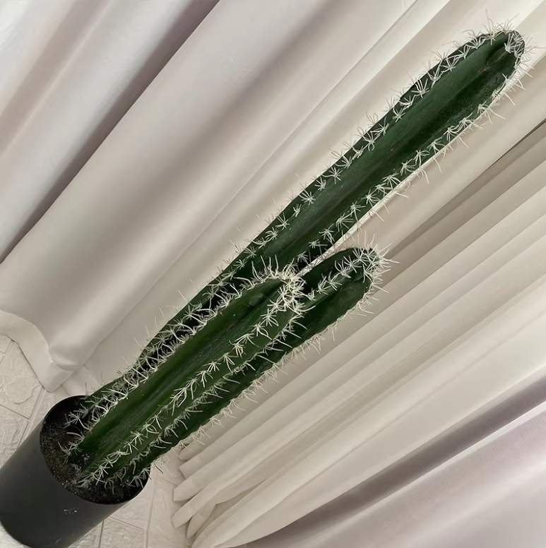 80cm