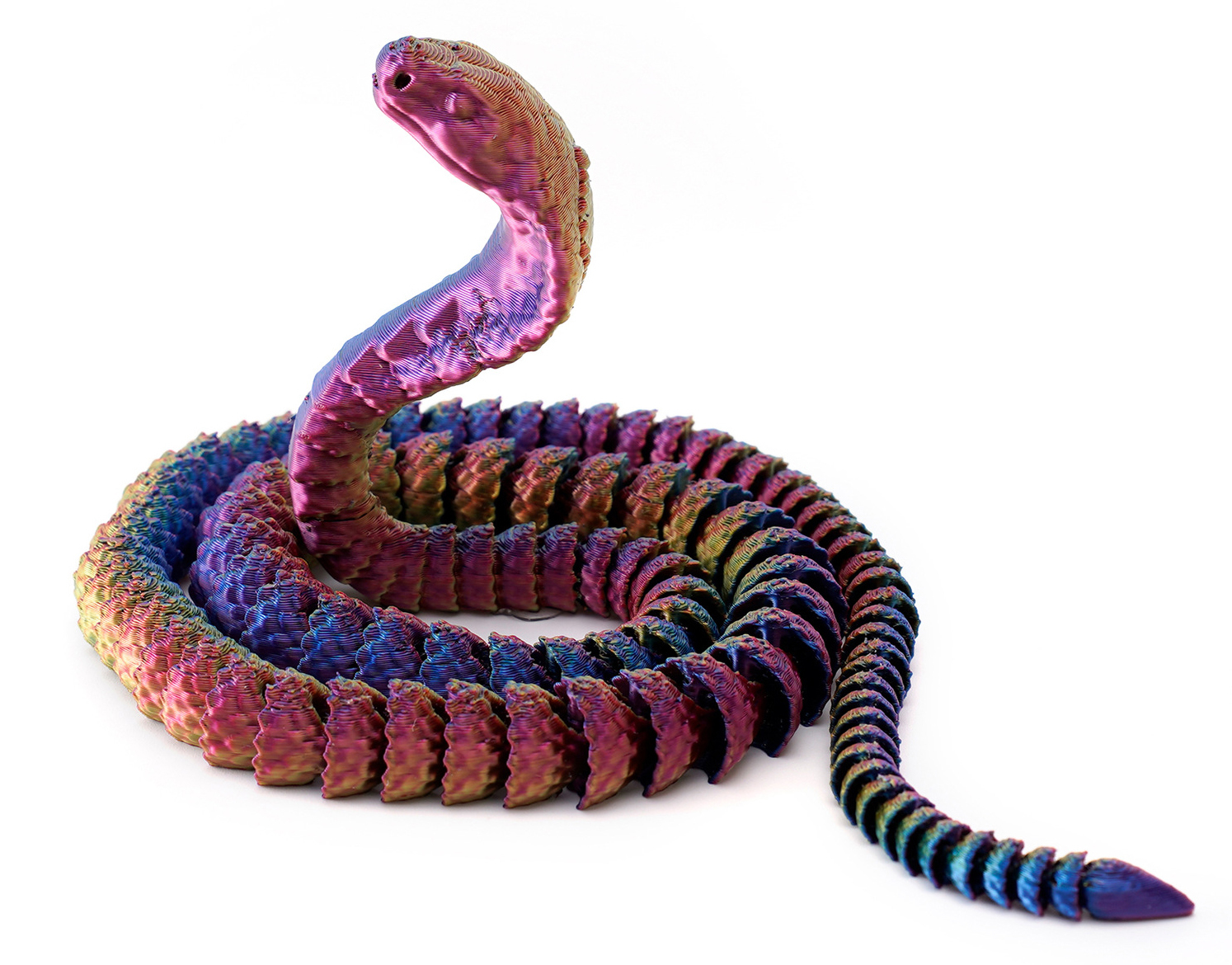 Colorful1