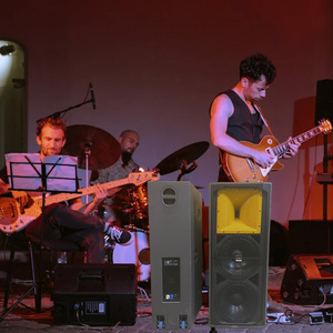 Tùy chỉnh Nhà cung cấp Loa Đôi 15 inch 2 cách dòng mảng Loa Pro âm thanh tùy biến cho các sự kiện bên - Product Image 6