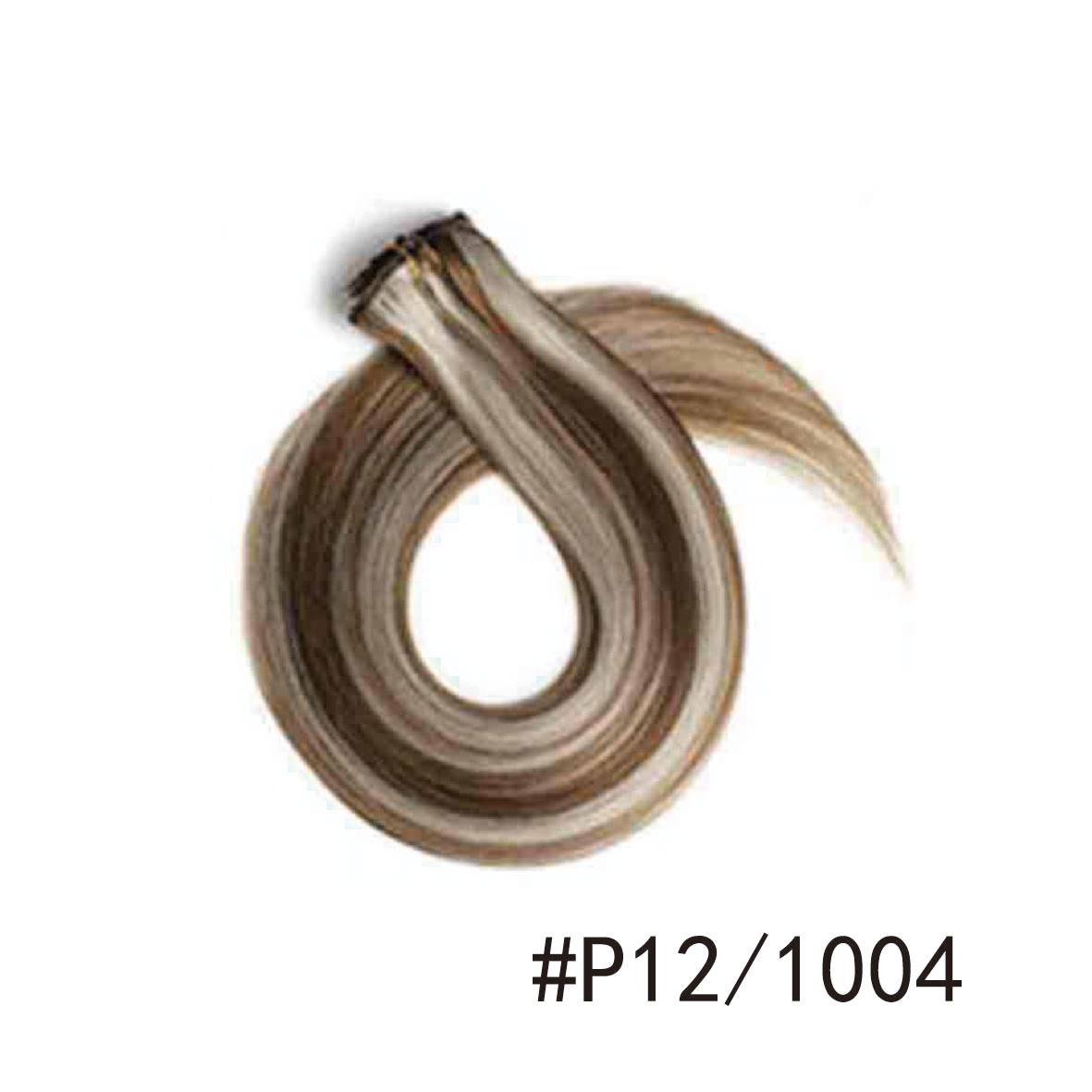 P12/1004