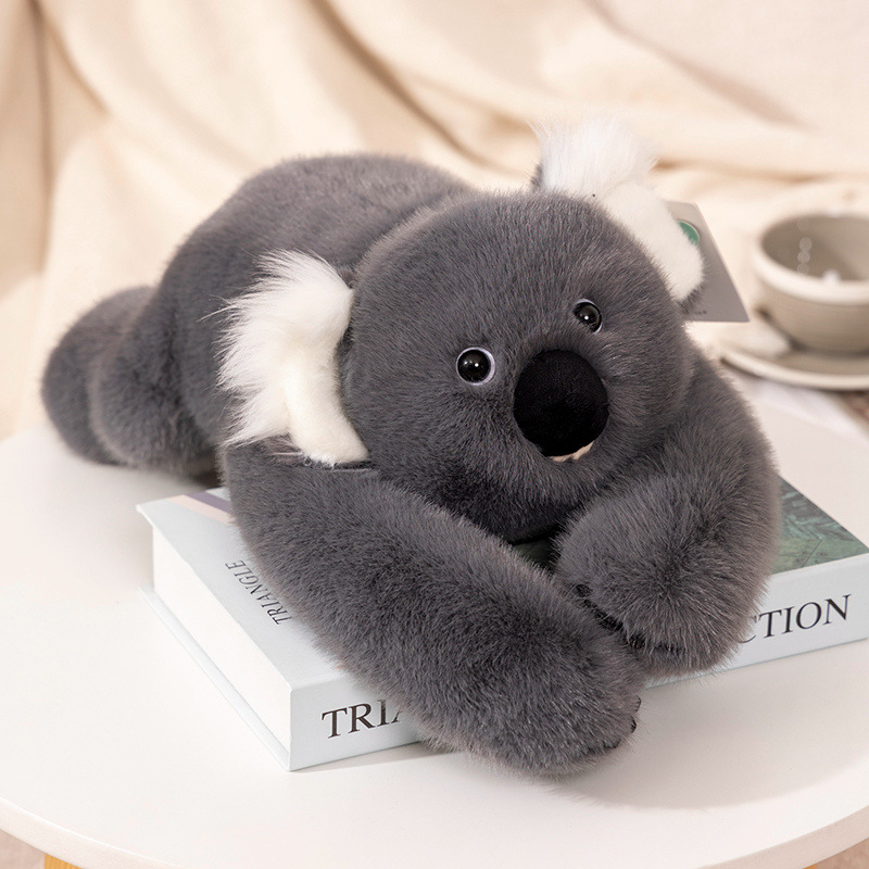 koala