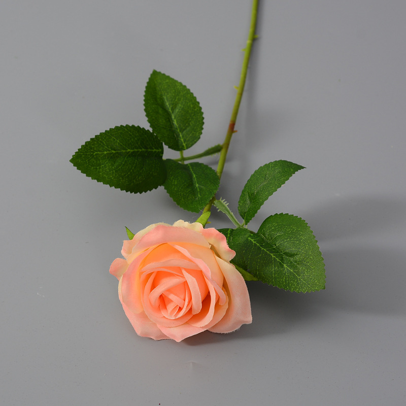 7cm Soie brute Champagne Rose