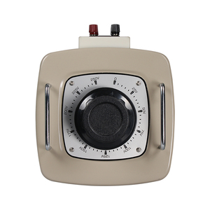 Digital Variac 0-250V Salida 220V Reguladores de voltaje manuales ajustables Transformador Variac