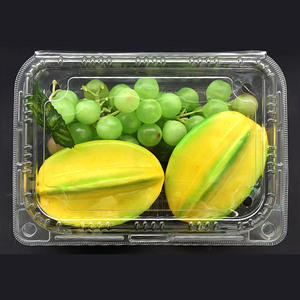 Пластиковая прямоугольная упаковочная коробка с откидной крышкой - Product Image 6