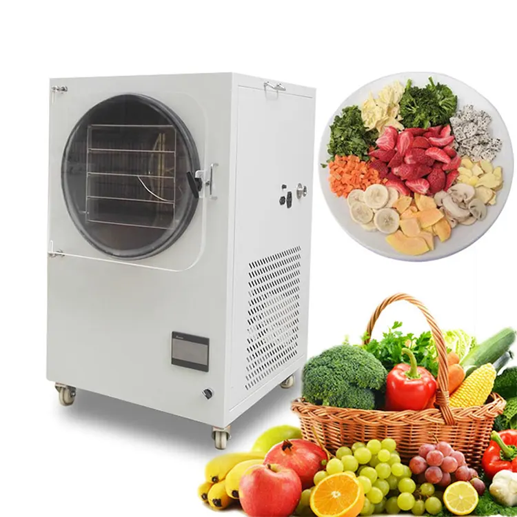 Petite machine de lyophilisation sous vide pour fruits, viande, légumes, lyophilisateur pour fraises