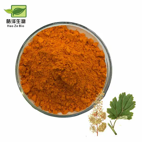 Haoze cung cấp thực phẩm bổ sung tự nhiên macleaya Cordata chiết xuất bột