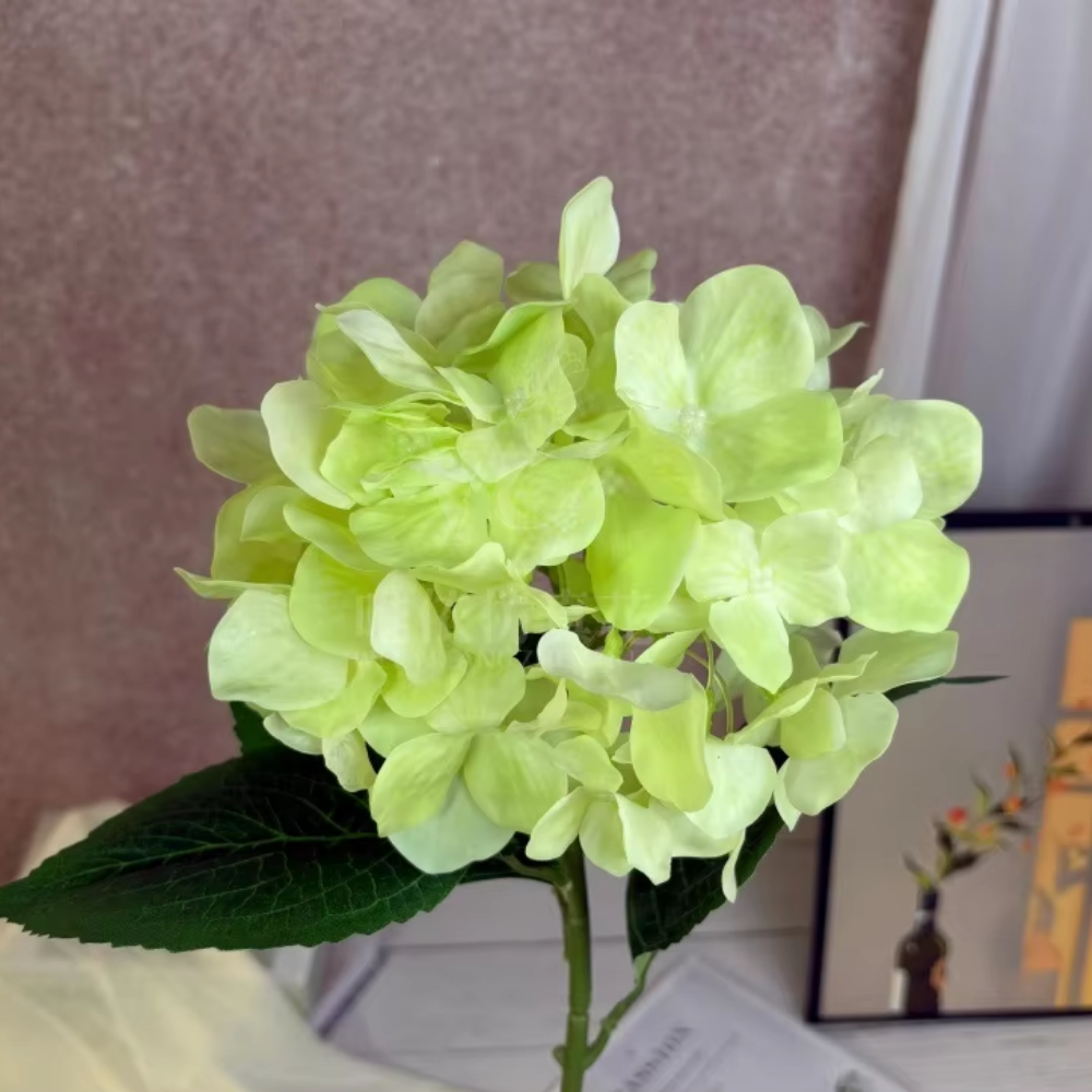 Touch-feel hydrangea