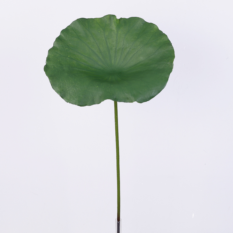 4# 82cm