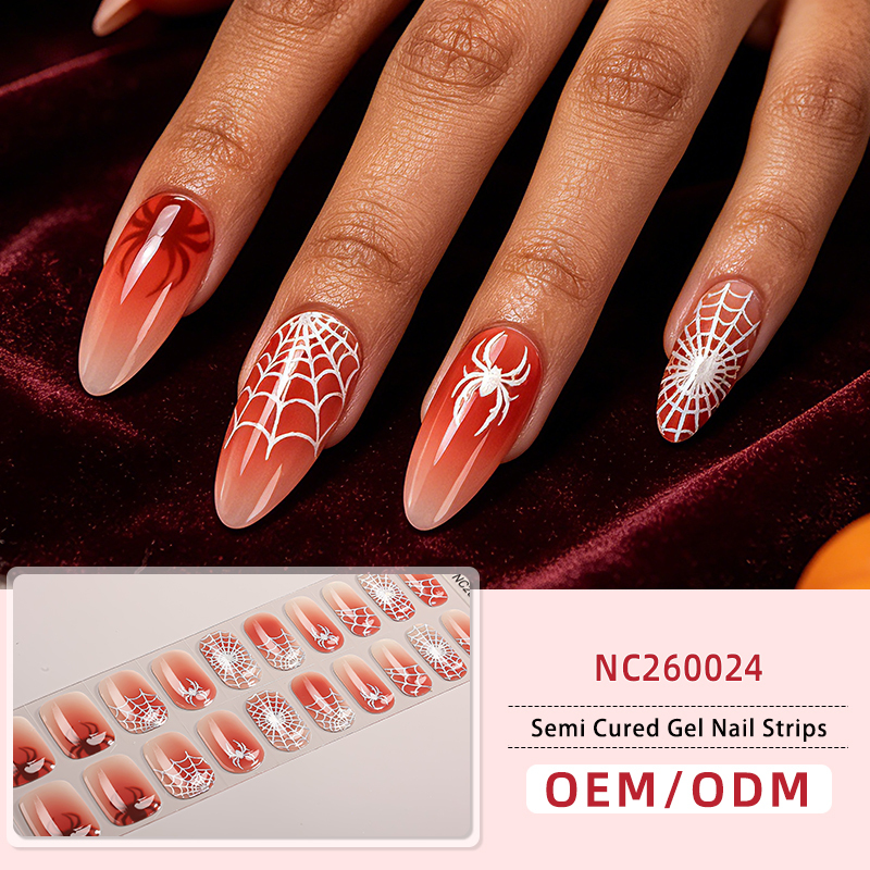 NC260024 เอ็นซี260024