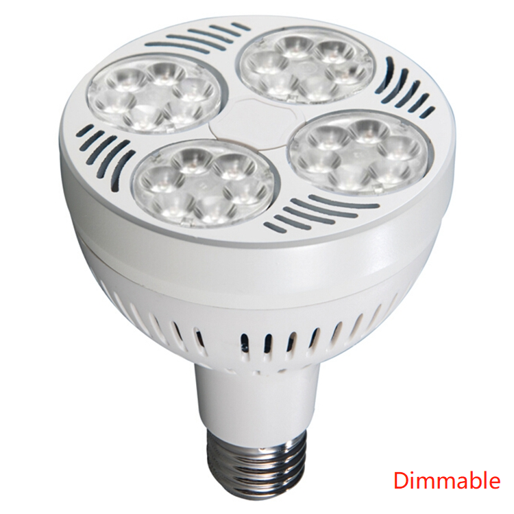 Blanc (Dimmable)
