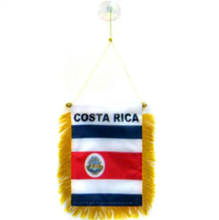 Mini Bandera de Costa Rica personalizada de alta calidad 4 "x 6" Banner de ventana con ventosa