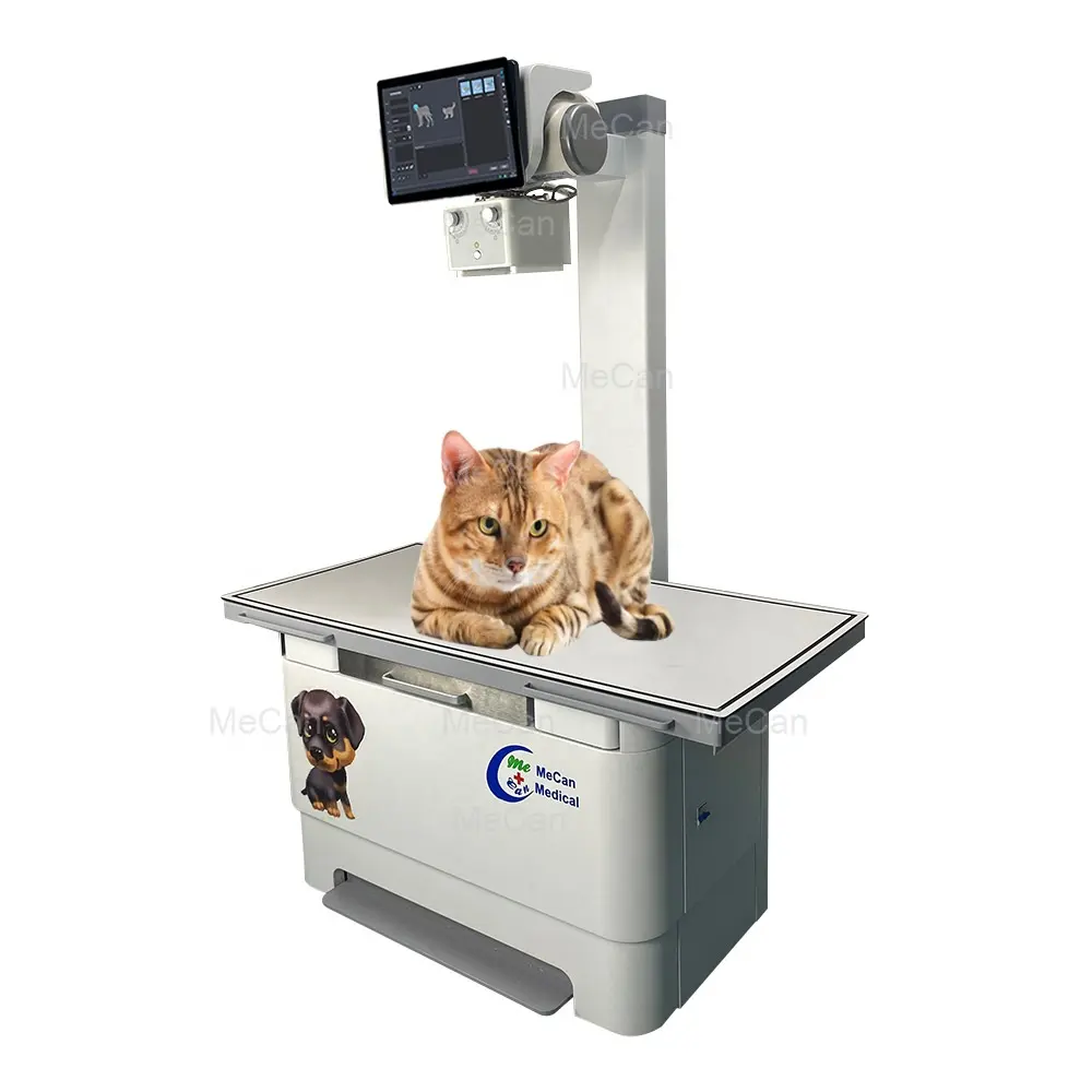 Máquina Digital Xray Radiografia Veterinária Unidade Portátil De Raio X Máquina Digital De Raio X em Gato