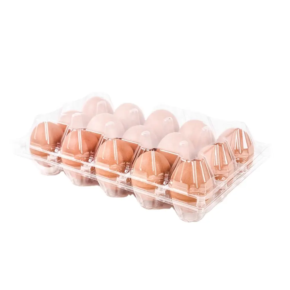 プラスチック鶏肉/バルク卵箱カスタマイズされた最高品質透明ブリスタープラスチック20個ウズラ卵包装