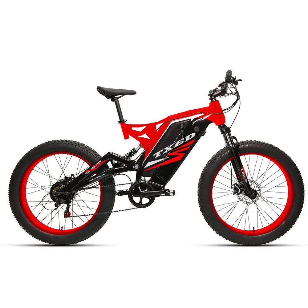 TXED 새로운 모델 경쟁력있는 가격으로 도로 먼지 자전거를 두 번 고출력