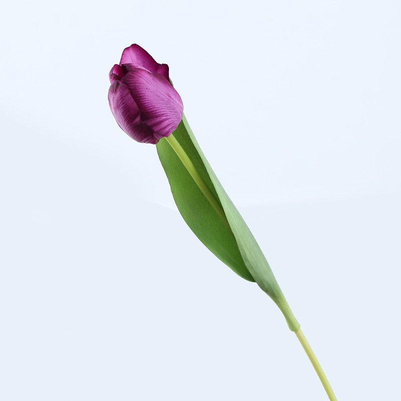 Morado