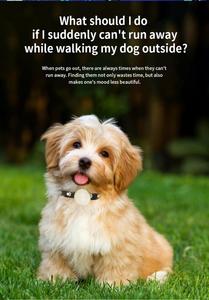 Hayvan Anti kayıp GPS konum izci GPS evcil hayvan izleme cihazı canlı harita güncellemeleri ile köpek güvenli GPS izci tutmak 6 ay kullanım süresi - Product Image 2