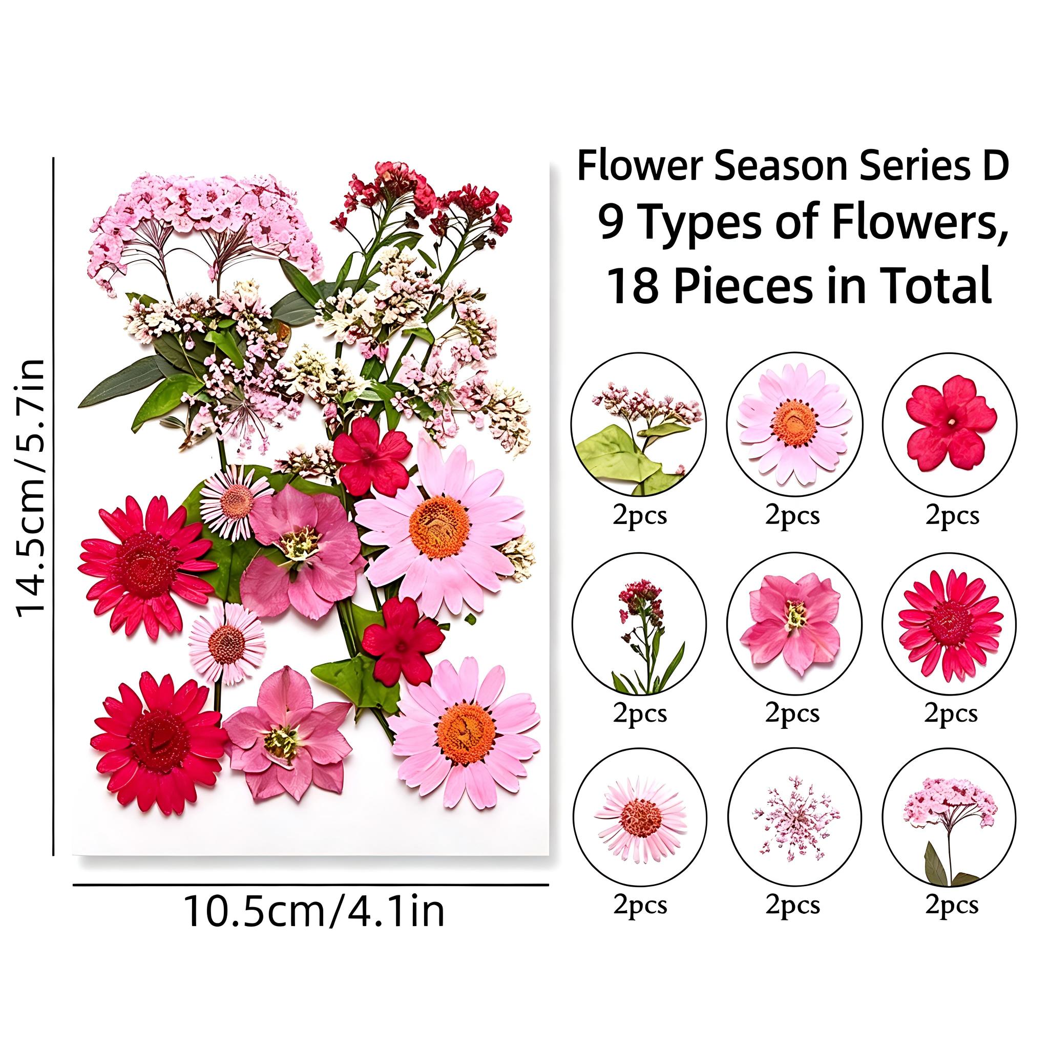 18 ชิ้น/ถุง, สีแดงและสีชมพู