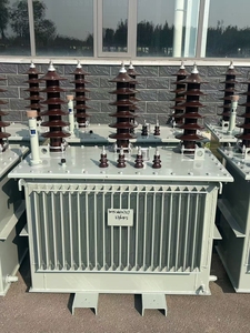 Trasformatore di potenza trifase ingresso 10kv 24v/<span class=keywords><strong>400v</strong></span>/<span class=keywords><strong>11kv</strong></span> uscita 300kva/1000kva/100kva capacità nominale 60Hz forma della bobina di frequenza