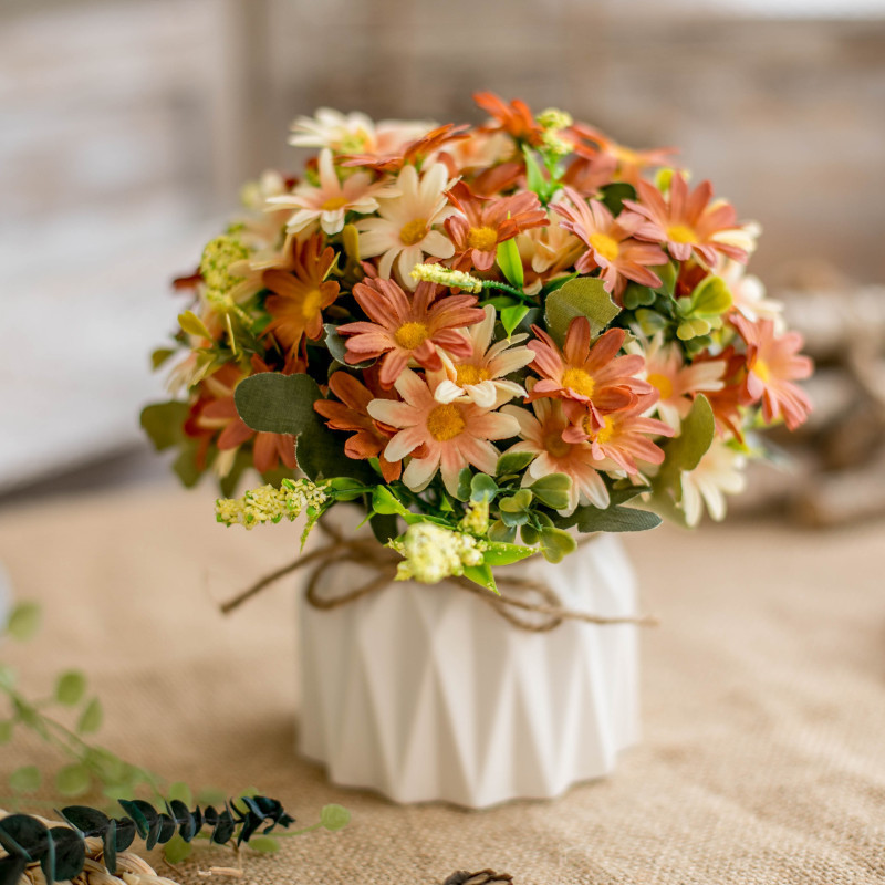 Couleur champagne du chrysanthème coréen