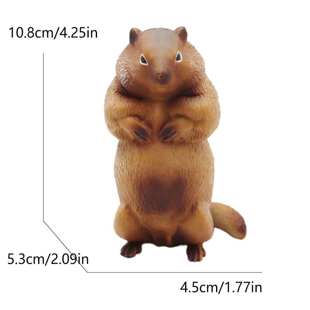 1011 marmotte-1832g