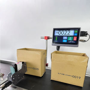 Codice automatico Online stampante a getto data numero di lotto imballaggio sacchetto di plastica linea di assemblaggio stampa a getto d'inchiostro codice bidimensionale - Product Image 1