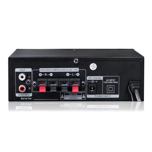 USB SD FM MIC <strong>Input</strong> AUX <strong>Input</strong> Mini Amp Nobler Iron Panel Pa Mini Digital DJ/KTV/Events Audio <strong>Amplifier</strong> - Product Image 2