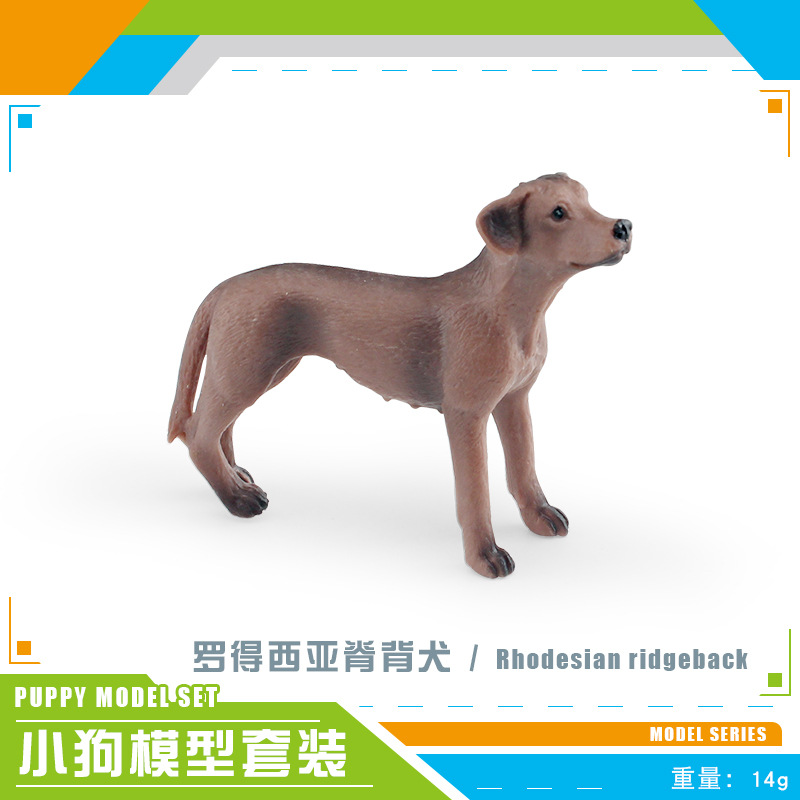 PL127-2584 Rhodesian Ridgegback 14g