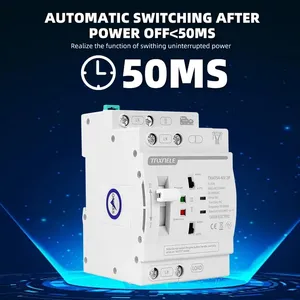 <span class=keywords><strong>Taxnele</strong></span> DIN Rail สวิตช์เลือกระบบอัตโนมัติ, สวิตช์เลือกไฟฟ้าแบบ2P 4P 230VAC ATS 63A พลังงานอย่างต่อเนื่อง