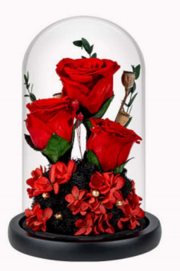 Red (12X20 cm) 3 roses