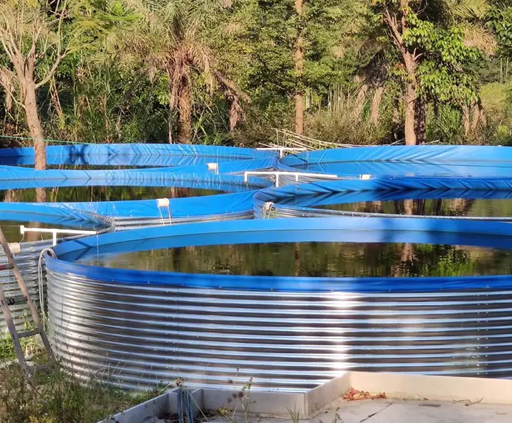 Contenedores grandes de plástico para peces, tanques comerciales de acero galvanizado de 100000 litros para irrigación de granja, cría de peces