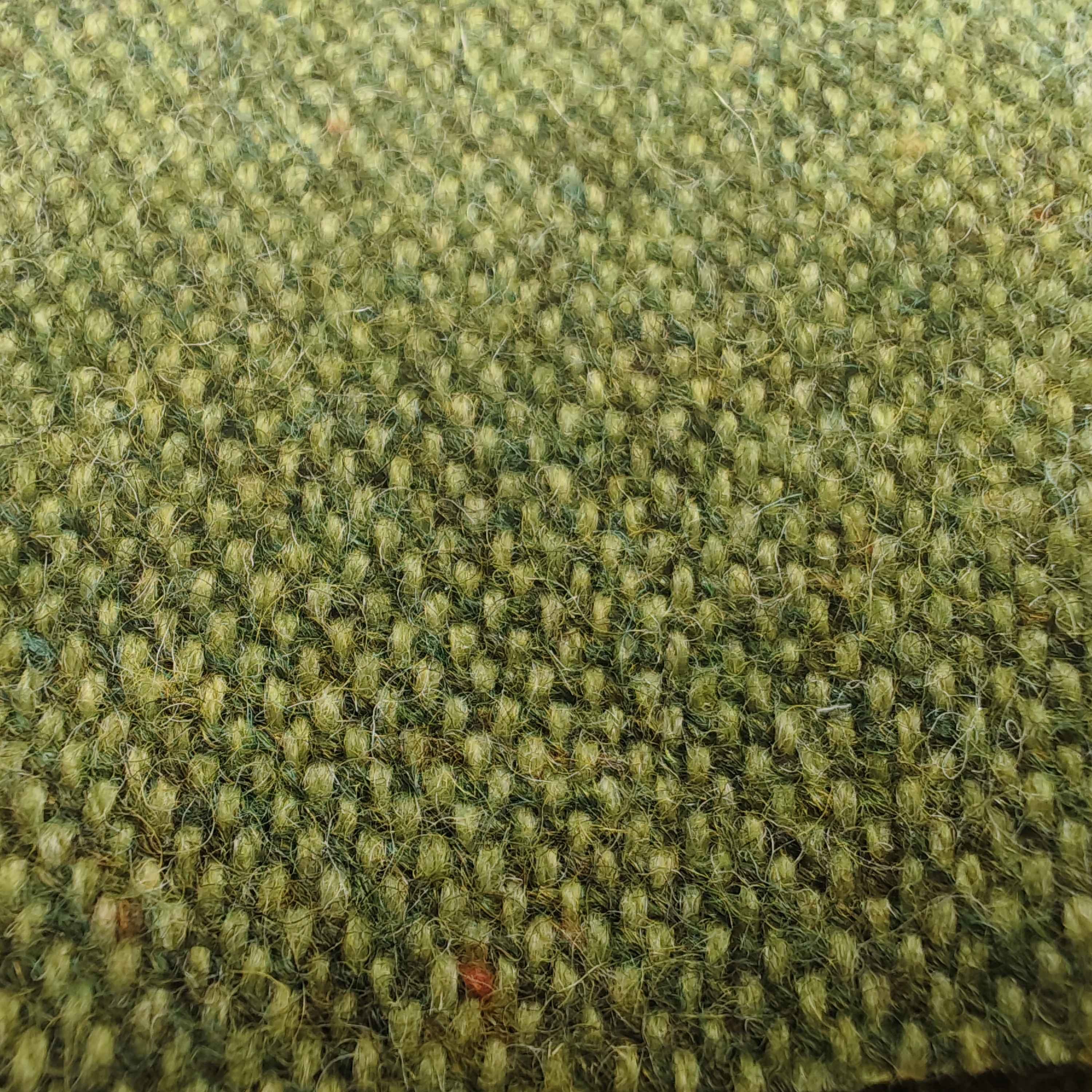 olive green with color dots wool tweed