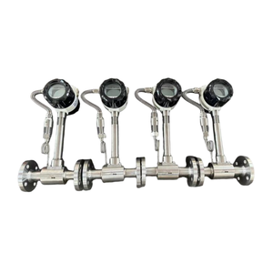 Flussometro a vortice personalizzato per misurare vapore surriscaldato o saturo - Product Image 2