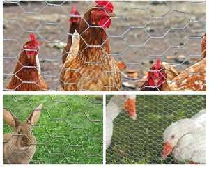 Verzinkte Eisenzaun Geflügel netz Sechseckige Drahtgitter rolle für Huhn - Product Image 5