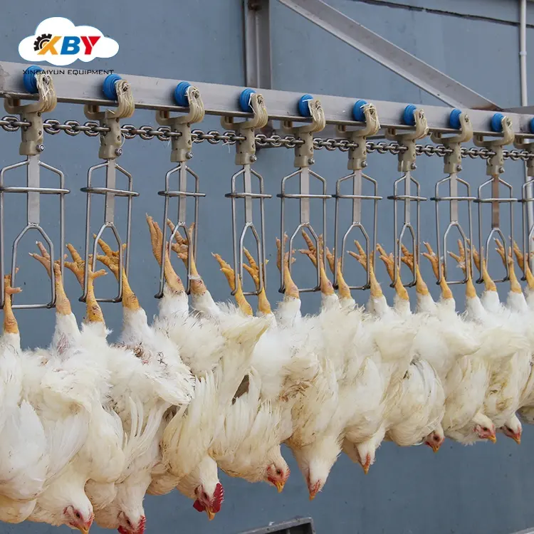 Línea de matadero de aves de corral personalizada automática, planta de procesamiento de carne de pollo