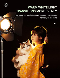 Beiyang 2000W Spotlight tóc ánh sáng Neo nền lấp đầy ánh sáng trong nhà Chân Dung nhiếp ảnh phim ánh sáng phim và truyền hình - Product Image 3