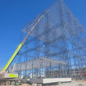 The Tallest Steel <strong>Structure</strong> Cold Storage in Asia Galvanized Steel Roof Space Frame <strong>Structure</strong> - Product Image 1