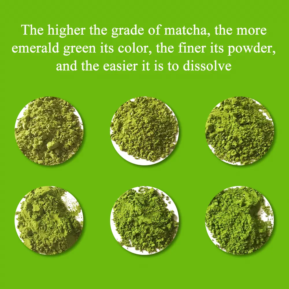 Fabbrica Private Label superiore Matcha tè in polvere istantaneo fornitore biologico cerimoniale di grado giapponese puro tè verde