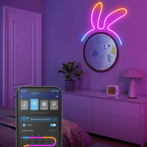 Wifi SMD <strong>5050</strong> RGB <strong>LED</strong> Strip Light 24V 36W IP65 Smart Tuya APP Control Smart Neon Strip Light With Power Adapter - Product Image 5