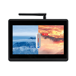 10.1 pollici 1024*600 lampone Pi Android Anti-riflesso a prova di esplosione industriale Android Touch Screen Computer tutto In un Pc