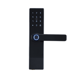 Prezzo a buon mercato digitale digitale elettronico biometrico codice della carta di Password TTLock Smart porta maniglia serratura per le case