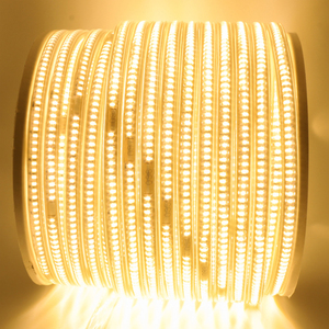 新产品高压24伏ip65 ip67防水数字全彩220v柔性rgb smd 5050 led灯条 - Product Image 2