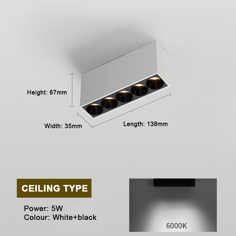 White+Black 5W 6000K (US 18.59)