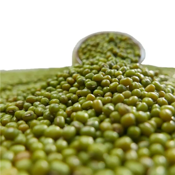 Nueva cosecha de semillas de Frijol mungo Buen precio Green Mung Bean Vigna Beans