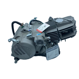 ZS1P62YML-<strong>2</strong> W190 Zongshen <strong>Engine</strong> Zs190 Motorcycle <strong>Engine</strong> Assembly Other Motorcycle <strong>Engines</strong> Oil Coooled - Product Image 5